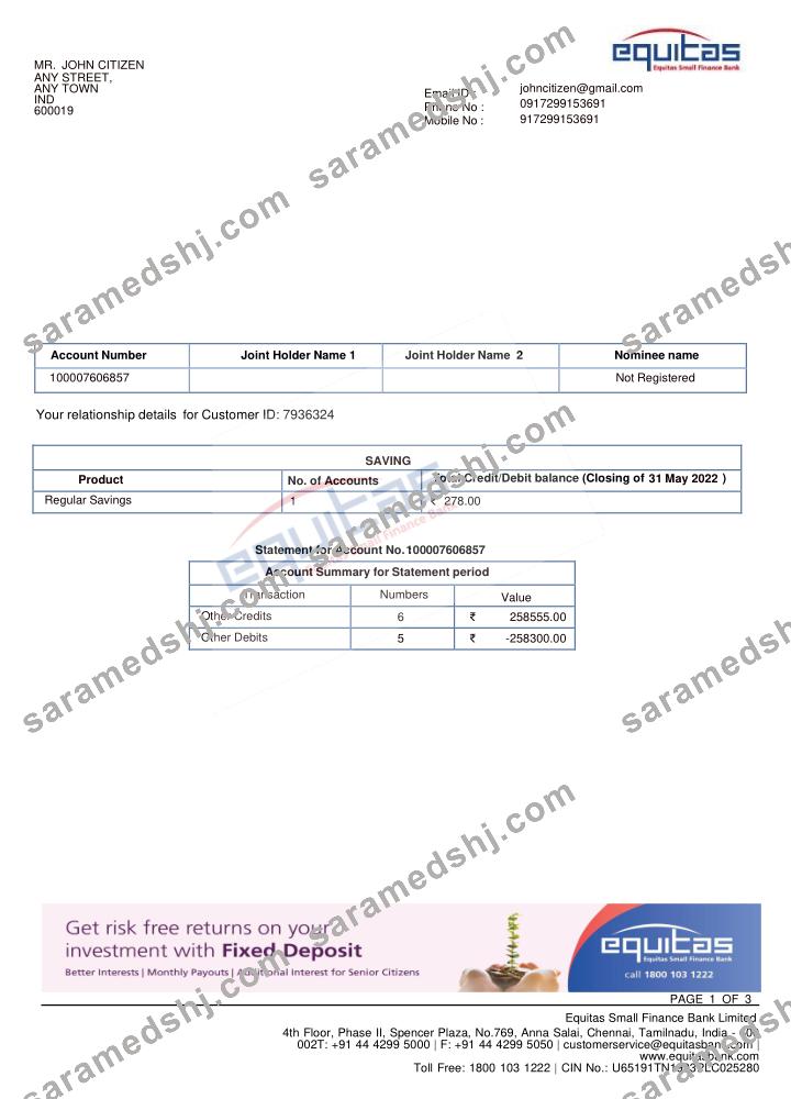 INDIA EQUITAS bank statement template, Word and PDF format
